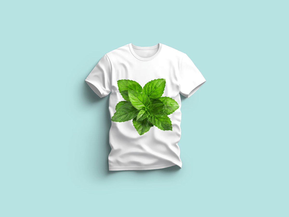 The Everyday Graphic Tee: Premium White Crewneck with Mint Leaves