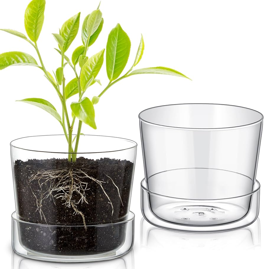 Tall Cylinder Glass Planter with Drainage Tray