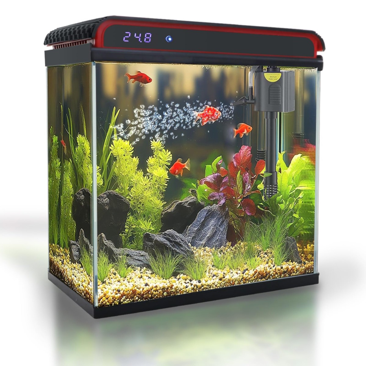 Starter Glass Aquarium Tank with Fitted Hood