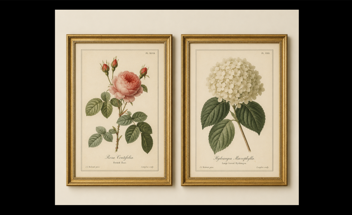 Vintage Botanical Framed Prints — Gold Frame Set of 2